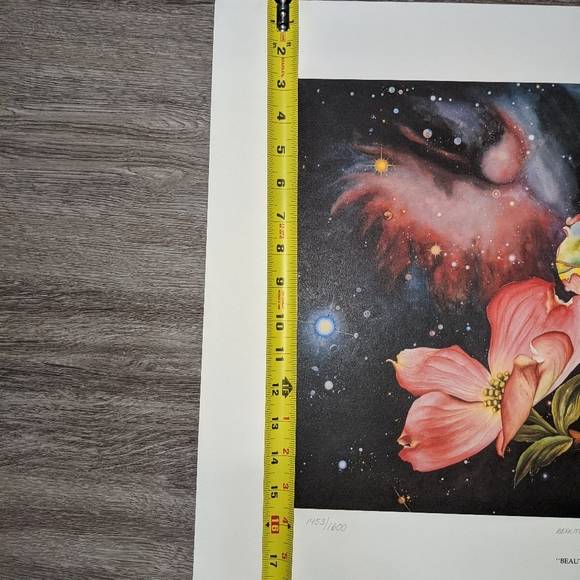 "Beauty from Orion" numbered print (certified) - Picture 5 of 8